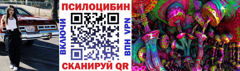 Псилоцибиновые грибы Cubensis  гидра рабочий сайт  Магас  даркнет сайт 